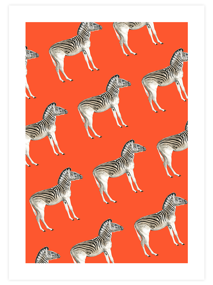 Zebralar - Art Print Ürün ana görseli