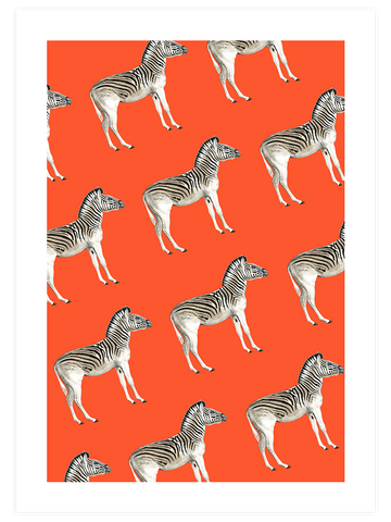 Zebralar - Art Print