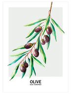 Zeytin - Art Print