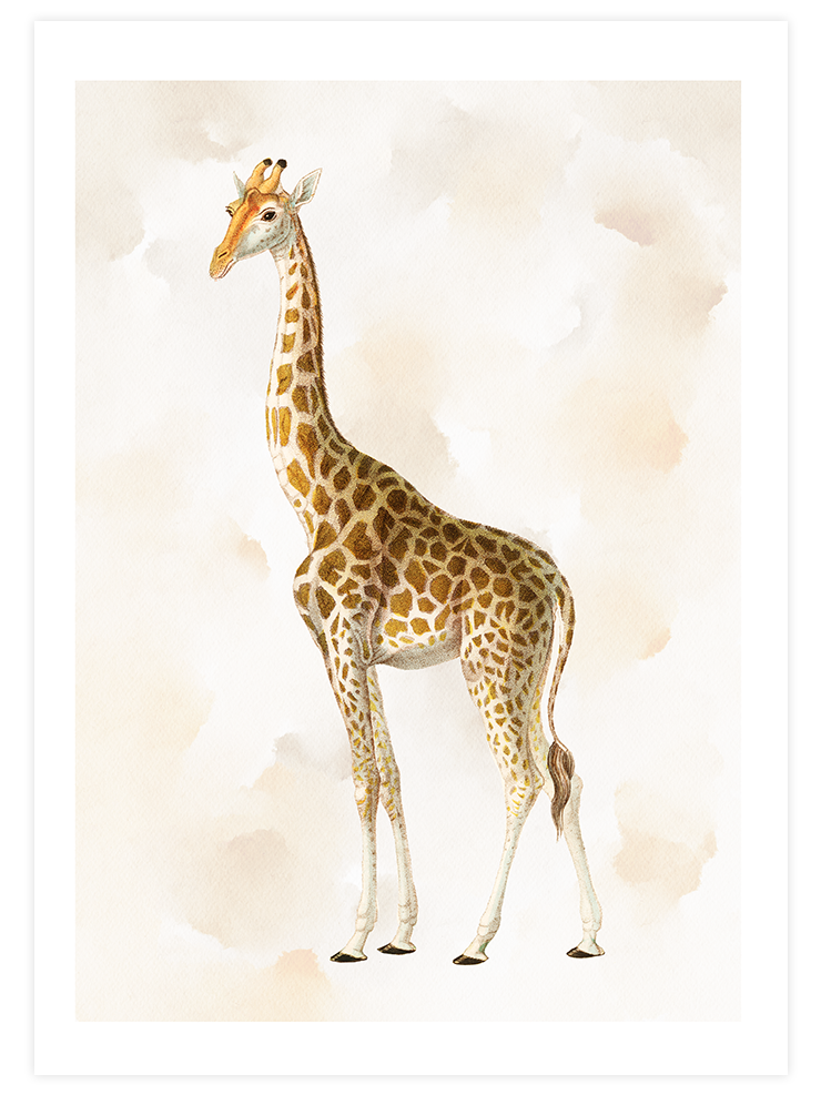 Zürafa N1 - Art Print Ürün ana görseli