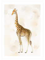 Zürafa N1 - Art Print