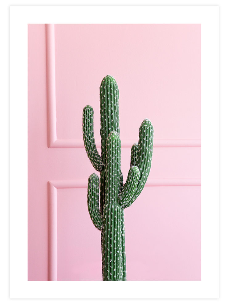 Chic Cactus - Art Print Fotoğraflar Poster