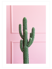 Chic Cactus - Fine Art Poster