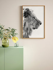 Siyah Beyaz Aslan - Fine Art Poster