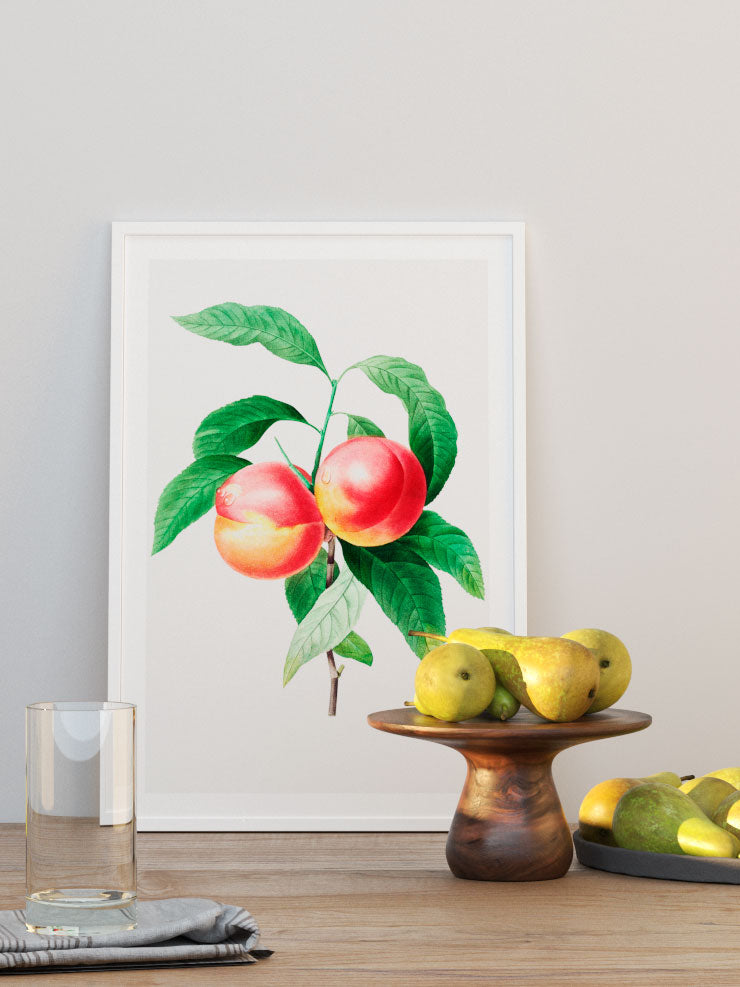 Şeftali - Art Print Ürün ikincil görseli