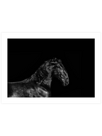 Siyah At - Art Print