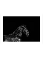 Siyah At - Fine Art Poster