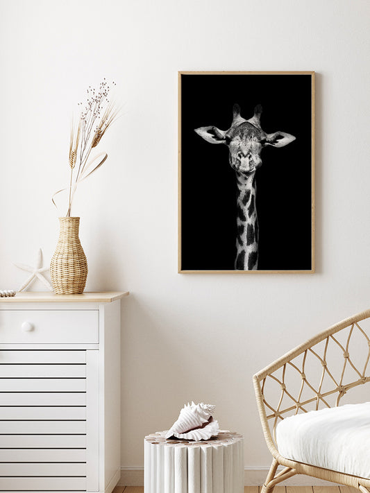 Siyah Beyaz Zürafa Poster - Giclée Baskı
