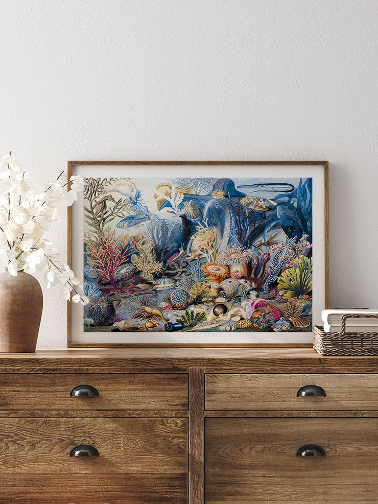 Su Altı Dünyası - Art Print