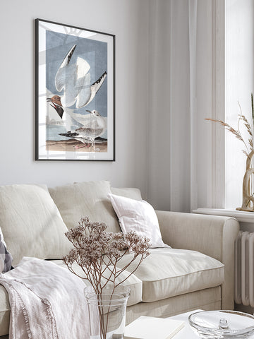 Bonapartian Gull - Art Print