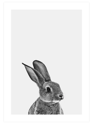 Tavşan - Art Print