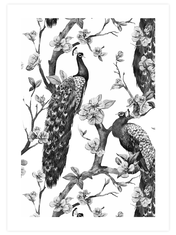 Tavus Kuşu - Art Print