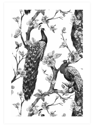 Tavus Kuşu - Art Print