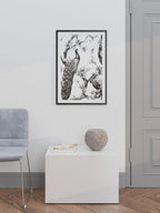 Tavus Kuşu - Art Print