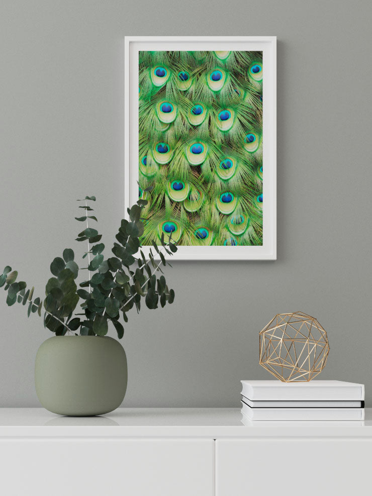 Plumage - Art Print  Poster