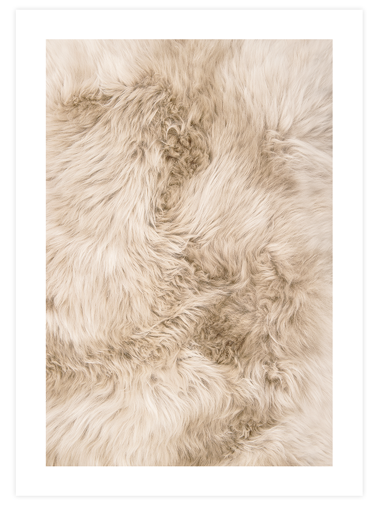 Tout Doux - Art Print Ürün ana görseli