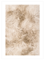 Tout Doux - Art Print