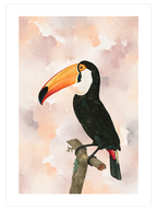 Tukan - Art Print