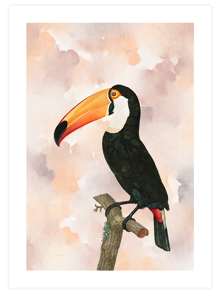Tukan - Art Print