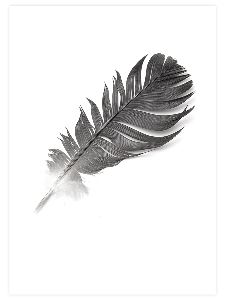 Tüy Gibi Hafif - Art Print Ürün ana görseli