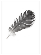 Tüy Gibi Hafif - Art Print