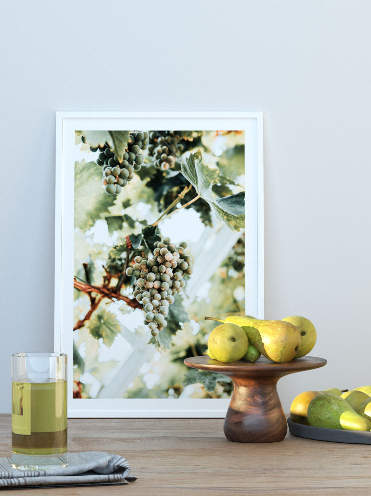 Salkım Üzüm - Art Print