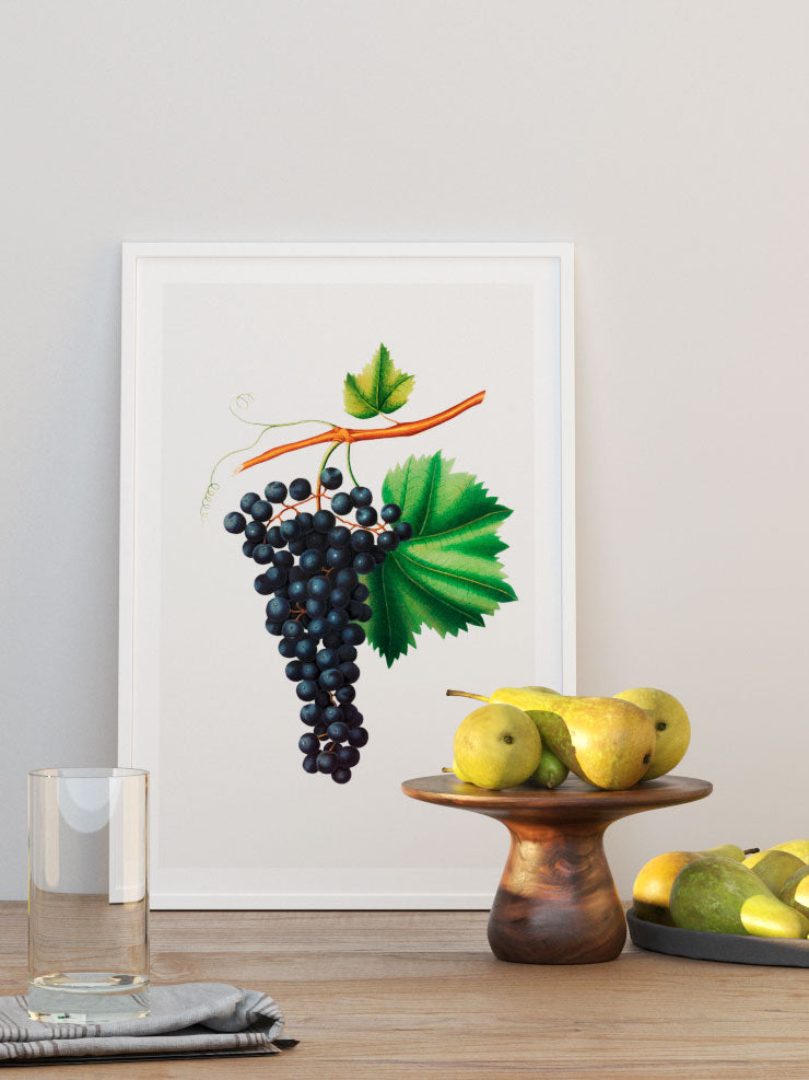 Üzüm Resmi - Art Print Ürün ikincil görseli