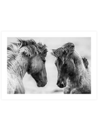 Vahşi Atlar - Art Print