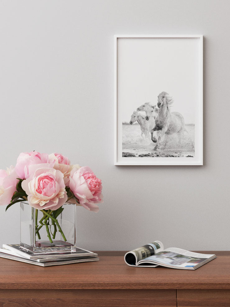 Freedom - Art Print  Poster