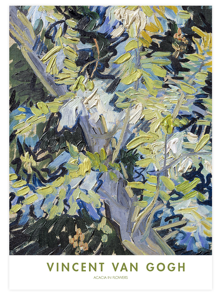 Van Gogh Acacia in Flowers - Art Print Ürün ana görseli