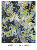 Van Gogh Acacia in Flowers - Art Print
