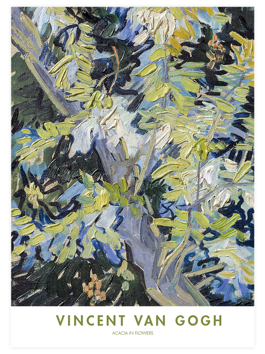 Van Gogh Acacia in Flowers Poster - Giclée Baskı