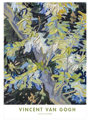 Van Gogh Acacia in Flowers Poster - Giclée Baskı