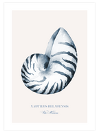 Vita Marina N3 - Art Print