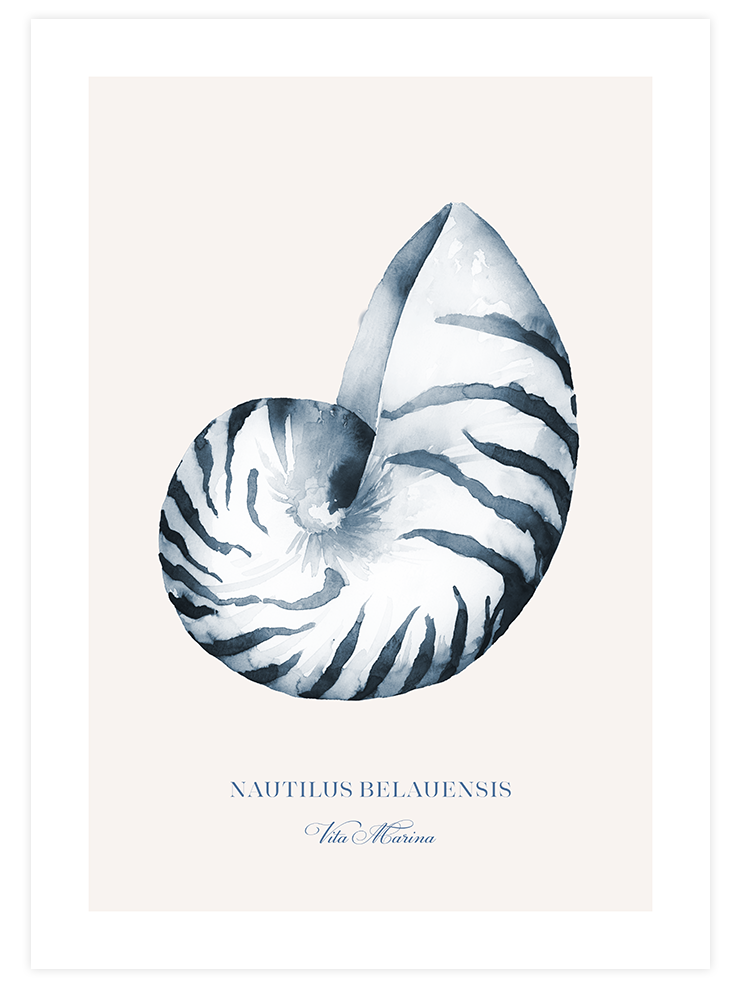 Vita Marina N3 - Art Print Sanatsal Poster