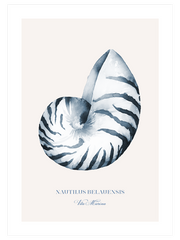Vita Marina N3 - Fine Art Poster