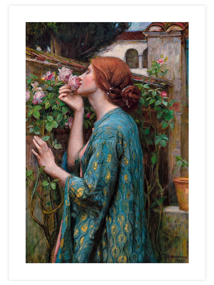 William Waterhouse My Sweet Rose - Art Print