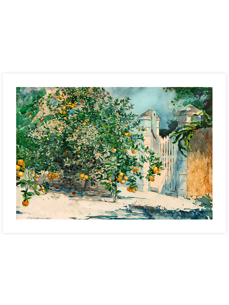 Winslow Homer Orange Trees and Gate - Art Print Ürün ana görseli