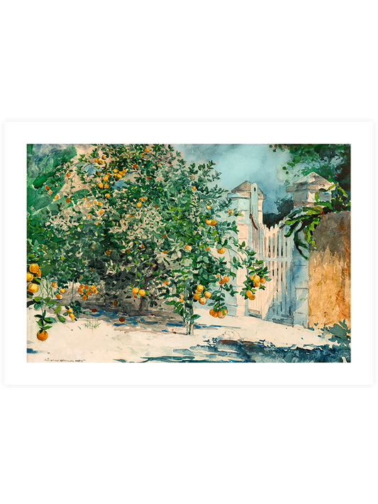 Winslow Homer Orange Trees and Gate - Art Print
