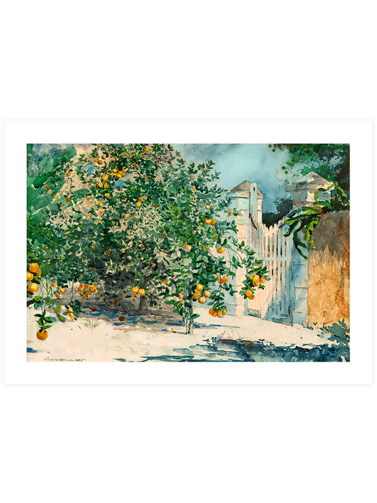 Winslow Homer Orange Trees and Gate Poster - Giclée Baskı