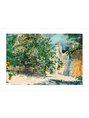Winslow Homer Orange Trees and Gate - Fine Art Poster