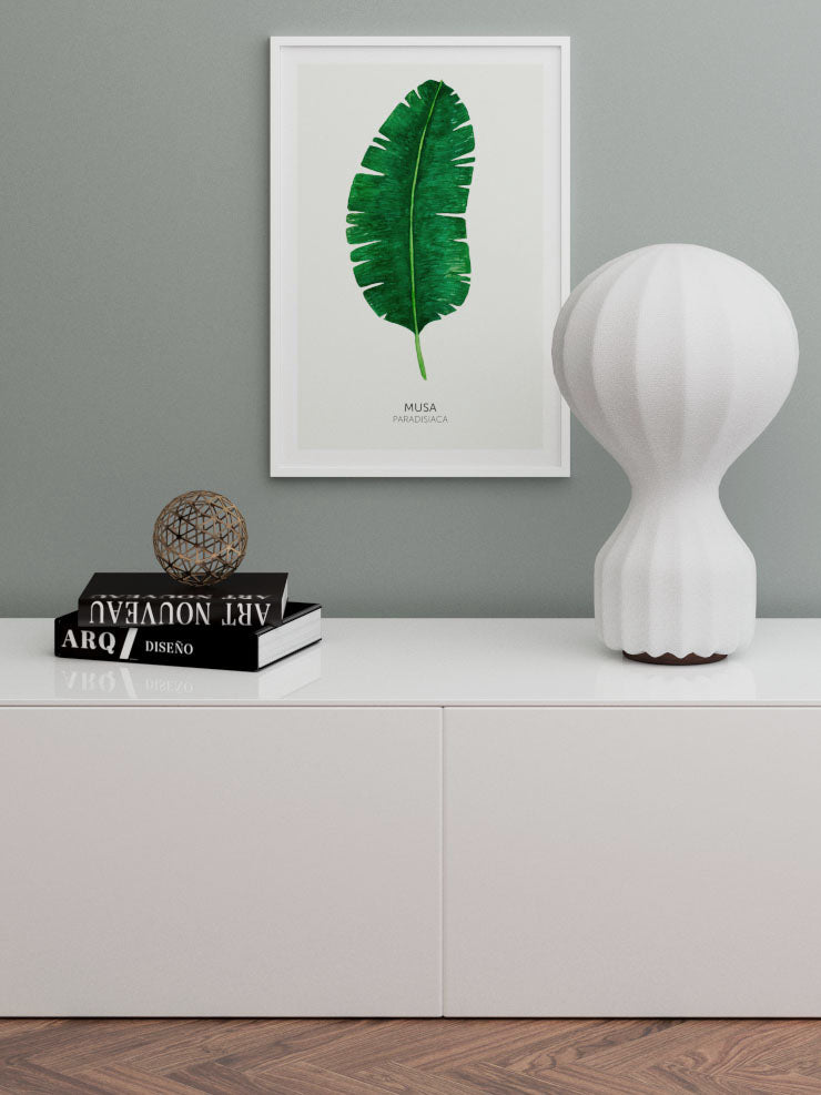 Musa Paradisiaca - Art Print