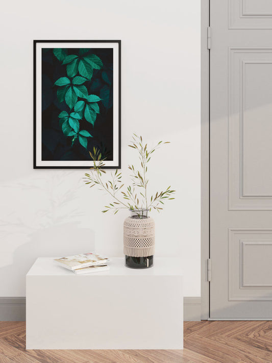 Salkim - Fine Art Poster