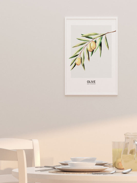 Oliva Poster - Giclée Baskı