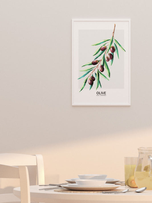 Zeytin Poster - Giclée Baskı