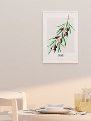 Zeytin - Fine Art Poster