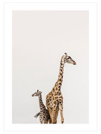 Zürafalar - Art Print